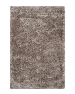 Grizzly Hand-Woven Area Rug Home