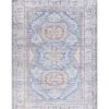 Amelie Traditional Machine-Washable Rug Home