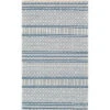 Farmhouse Tassels Hand Woven Rug Home