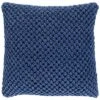 Godavari Polyester Pillow Home