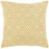 Kanga Pillow Home